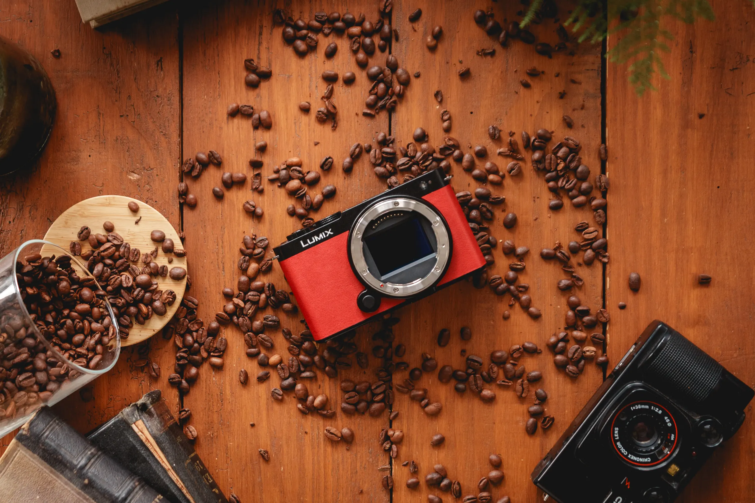Camara France — Steven Roussel